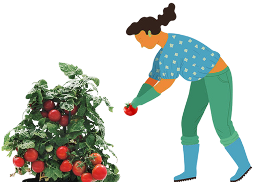 Allthatgrows