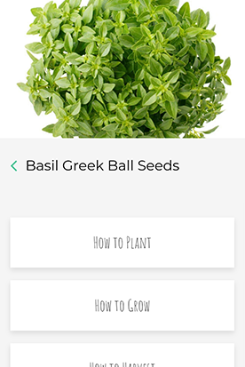 Allthatgrows