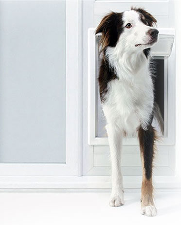PetDoors